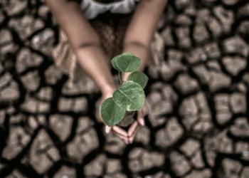 Unicamp promove 1º Fórum de Mudanças Climáticas