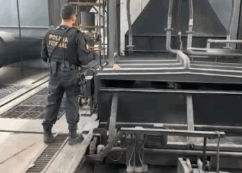 Polícia Federal incinera quatro toneladas de drogas apreendidas em Viracopos