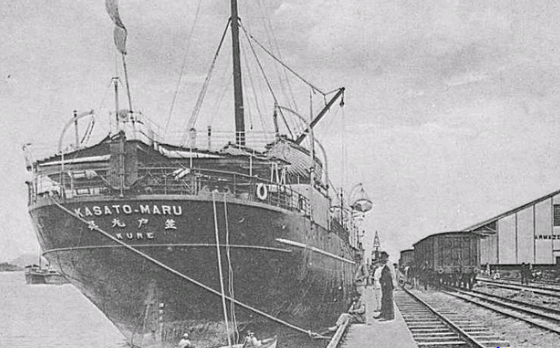 Artigo: Imigrantes, uma riqueza ignorada – por Anamaria Kovács