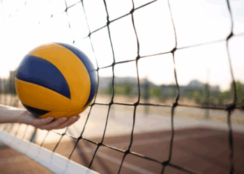 O Jogo do Feedback: lições da quadra para a carreira – por Karine Camuci