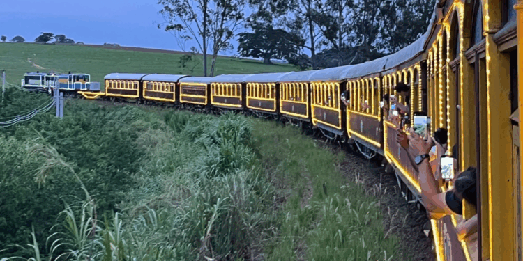 Maria Fumaça entra no clima natalino com passeios especiais