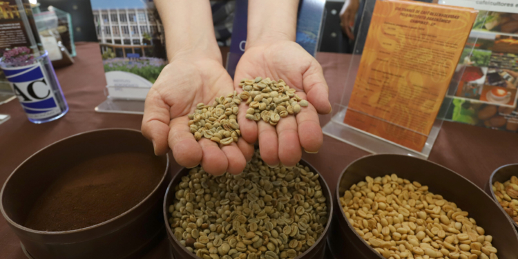 Café produzido em Campinas vence 24º Concurso Estadual Qualidade do Café