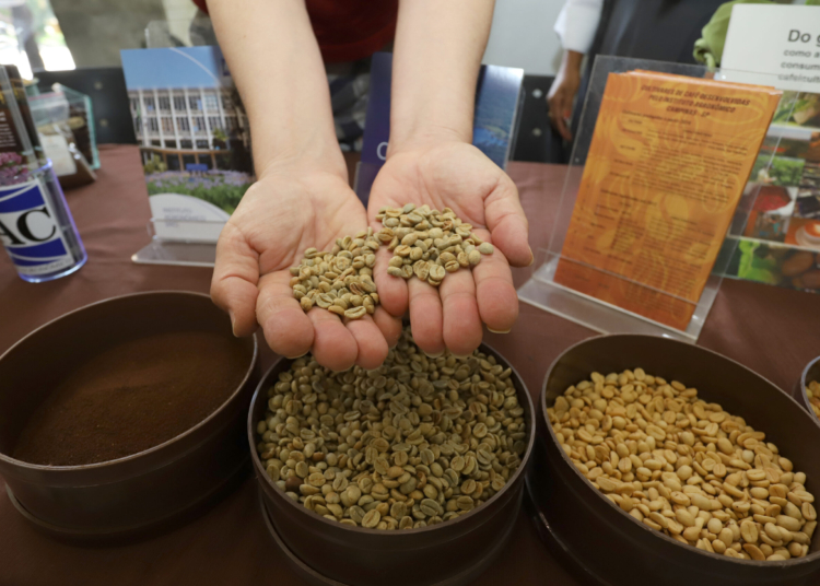 Café produzido em Campinas vence 24º Concurso Estadual Qualidade do Café