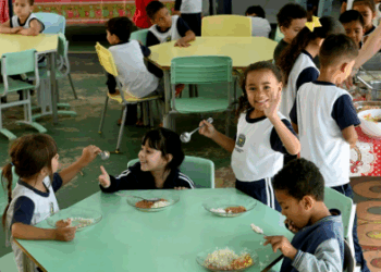 Educação de Campinas faz audiência sobre compra de alimentos da agricultura familiar para merenda