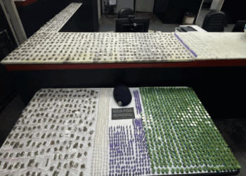 GM de Campinas detém homem e apreende 4,8 kg de entorpecentes