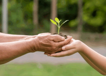 Artigo – Entre acordos climáticos e estratégias corporativas: o mundo em debate na COP30 – por Elizabeth Ribeiro Martins