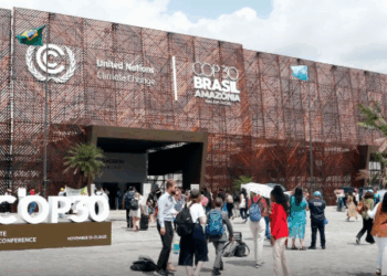 Na COP30, BNDES seleciona 100 startups para programa de aceleração