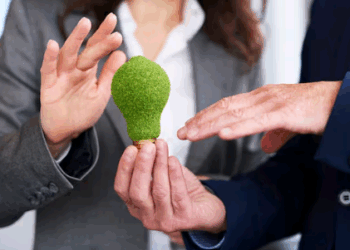 Artigo: Como identificar ‘marcas verdes’ que enganam os consumidores – por Clara Toledo Corrêa