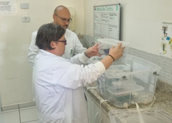 Troca de vidas: Jaguariúna destina escorpiões ao Butantan e garante antídoto na região