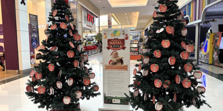 Polo Shopping Indaiatuba inicia a 14º campanha ‘Natal Solidário’