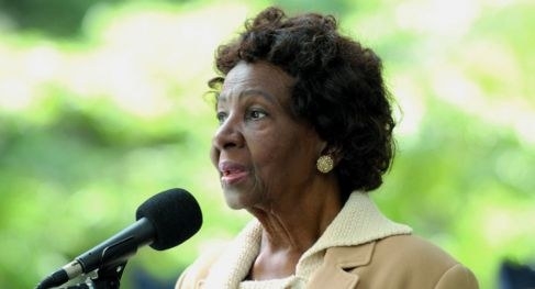 Os negros na política: Theodosina Ribeiro inspirou representatividade racial e fez história