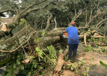 Defesa Civil mobiliza equipes para apoiar municípios de SP atingidos pelas fortes chuvas