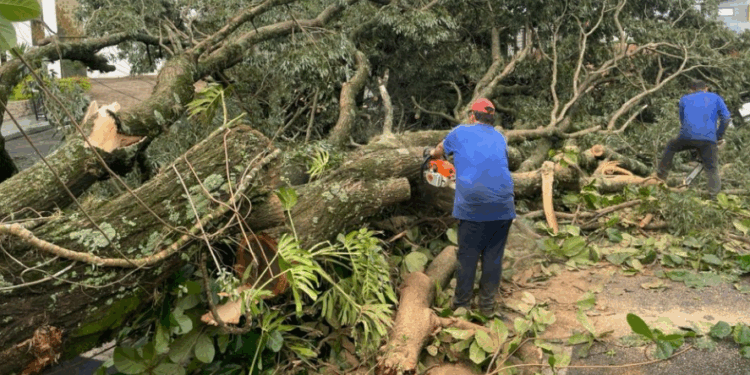 Defesa Civil mobiliza equipes para apoiar municípios de SP atingidos pelas fortes chuvas