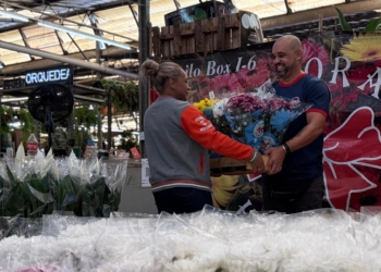Dia de Finados: Ceasa projeta aumento de até 40% na venda de flores