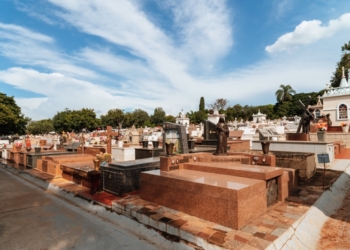 Combate à dengue: Zoonoses de Valinhos realiza ação em cemitério no Dia de Finados