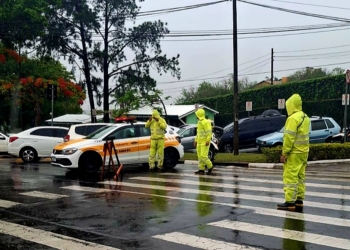 Chuvas em Campinas derrubam árvores e muro; imóvel é alagado