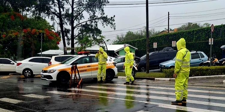 Chuvas em Campinas derrubam árvores e muro; imóvel é alagado