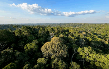 COP30: o que é, quando acontece e o que será discutido em Belém