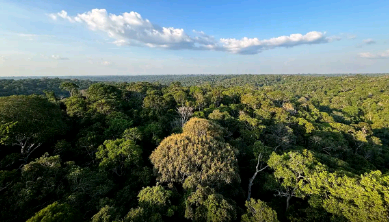 COP30: o que é, quando acontece e o que será discutido em Belém