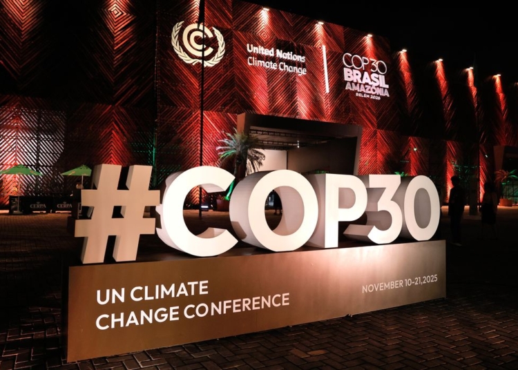 COP30: sucesso ou fracasso na floresta? – por José Pedro Martins