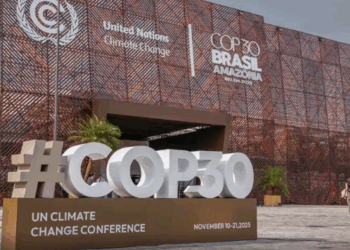 Fundo para florestas tropicais atinge aporte de US$ 5,5 bilhões