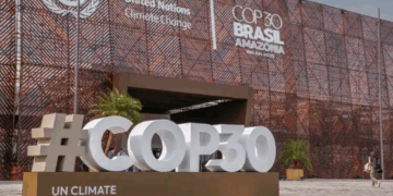 Fundo para florestas tropicais atinge aporte de US$ 5,5 bilhões