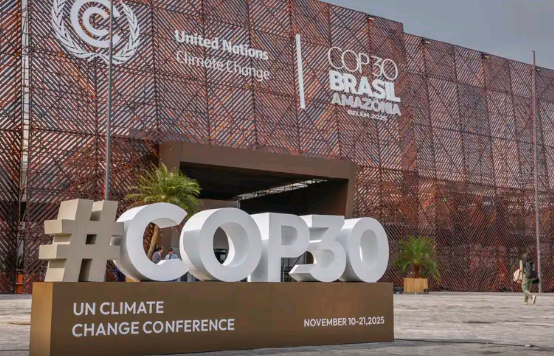 Fundo para florestas tropicais atinge aporte de US$ 5,5 bilhões