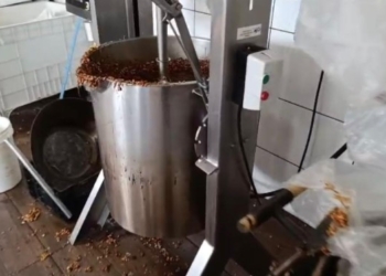 Polícia Civil fecha fábrica de doces que tinha fezes e urina de ratos em meio a produção