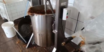 Polícia Civil fecha fábrica de doces que tinha fezes e urina de ratos em meio a produção