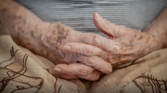 Etarismo ambiental na COP30: clima e pessoas idosas – por José Pedro Martins