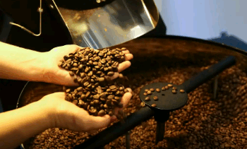 EUA reduzem tarifas para café, laranja, carne bovina e outros produtos brasileiros