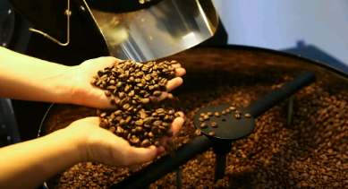 EUA reduzem tarifas para café, laranja, carne bovina e outros produtos brasileiros