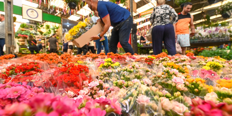 Ceasa Campinas terá programação especial neste sábado com oficinas e concurso