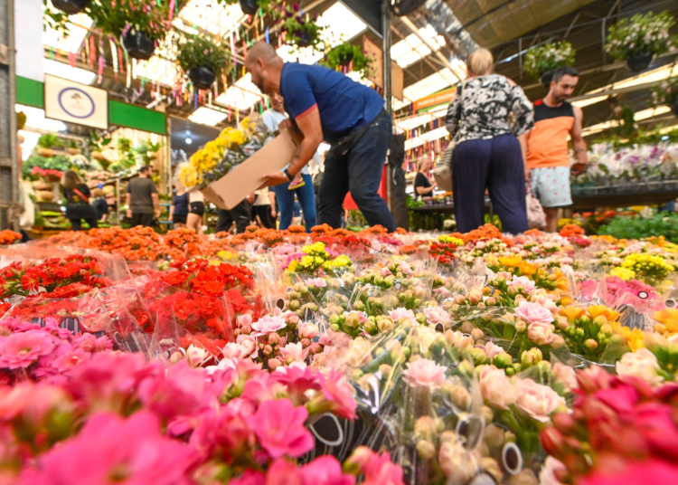 Ceasa Campinas terá programação especial neste sábado com oficinas e concurso