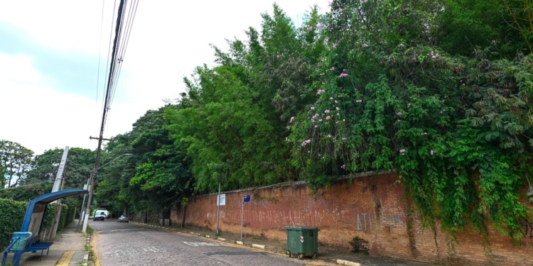 Campinas terá escola com espaço inédito para educação ambiental e climática em Joaquim Egídio
