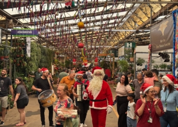 Comemorações de Natal trazem aumento de público na CEASA Campinas