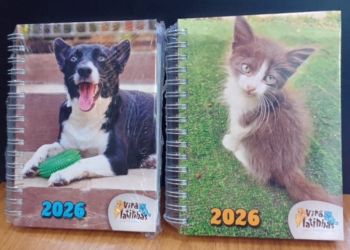 ONG Viralatinhas inicia venda da agenda 2026 em prol da causa animal