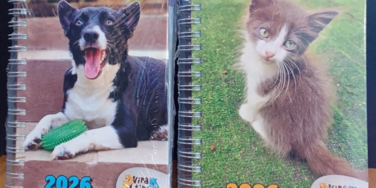 ONG Viralatinhas inicia venda da agenda 2026 em prol da causa animal