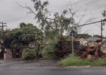Defesa Civil registra 77 milímetros em 24 horas na região Sul de Campinas