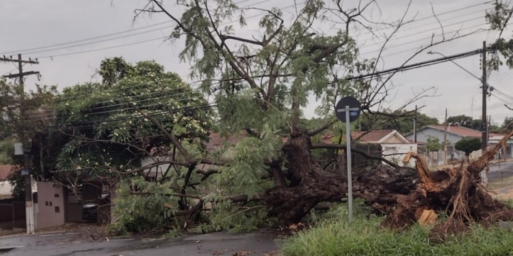 Defesa Civil registra 77 milímetros em 24 horas na região Sul de Campinas