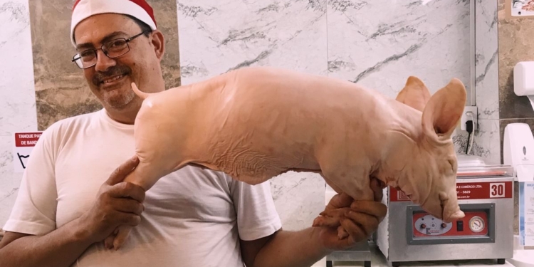 Mercado Campineiro: espaço de memórias está perto de completar 70 anos