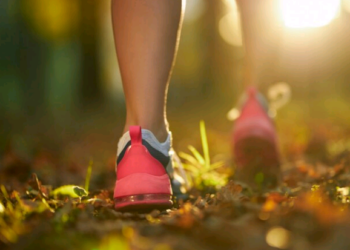 Artigo: O poder de começar pequeno – por Marcelo do Rego