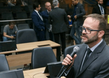 Encontro na Câmara de Campinas debate arborização urbana e papel do Comdema