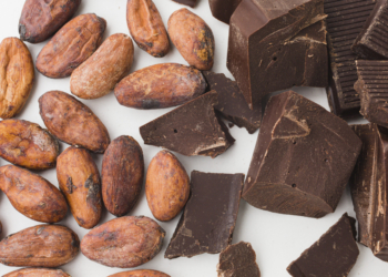 Substâncias do cacau podem ser benéficas à saúde vascular, diz estudo