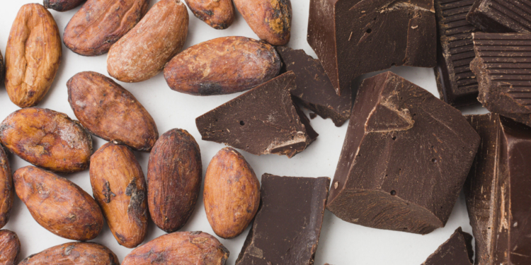 Substâncias do cacau podem ser benéficas à saúde vascular, diz estudo