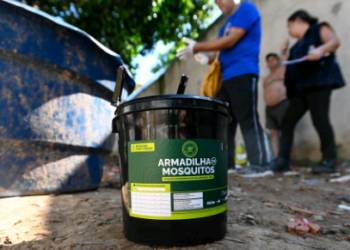 Campinas usa IA para avisar moradores sobre armadilhas do Aedes aegypti