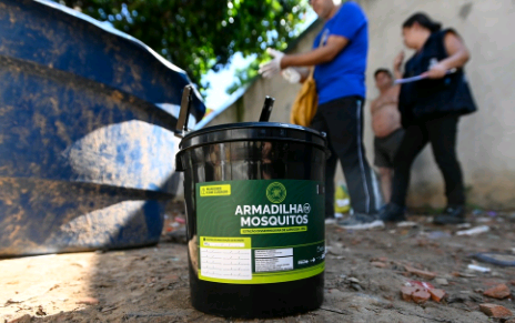 Campinas usa IA para avisar moradores sobre armadilhas do Aedes aegypti