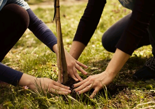 As responsabilidades e os propósitos da vida – por Luis Norberto Pascoal