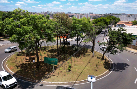 Campinas tem 21 microflorestas urbanas; confira endereços nos bairros da cidade