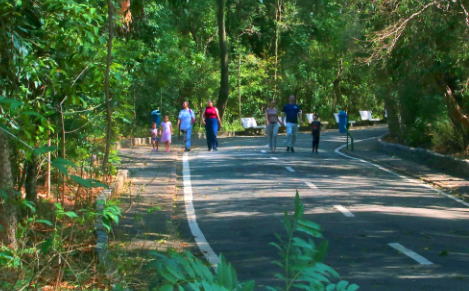 Prefeitura de Campinas reabre parques nesta terça após redução no acumulado de chuvas